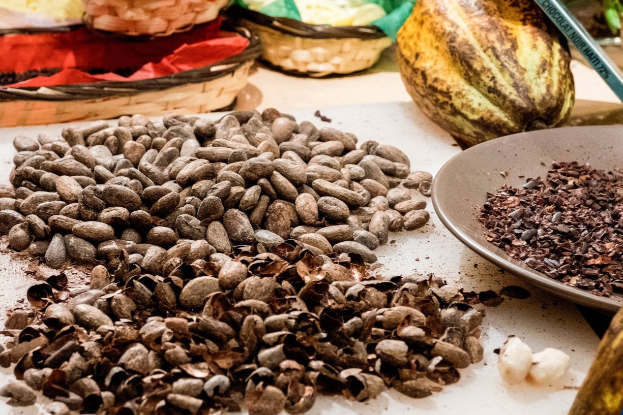 Cacao haïtien: un trésor laissé à l'abandon, estime l'agronome Ketty Paquiot