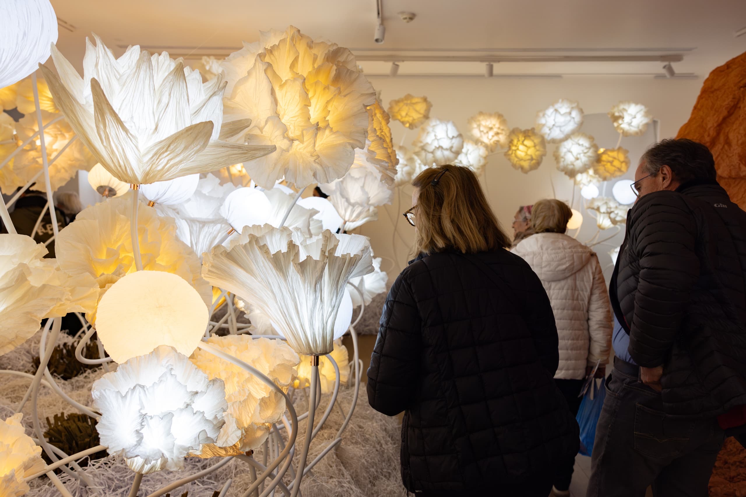 31235597-a489-4bfe-9d18-6005f8cc4156