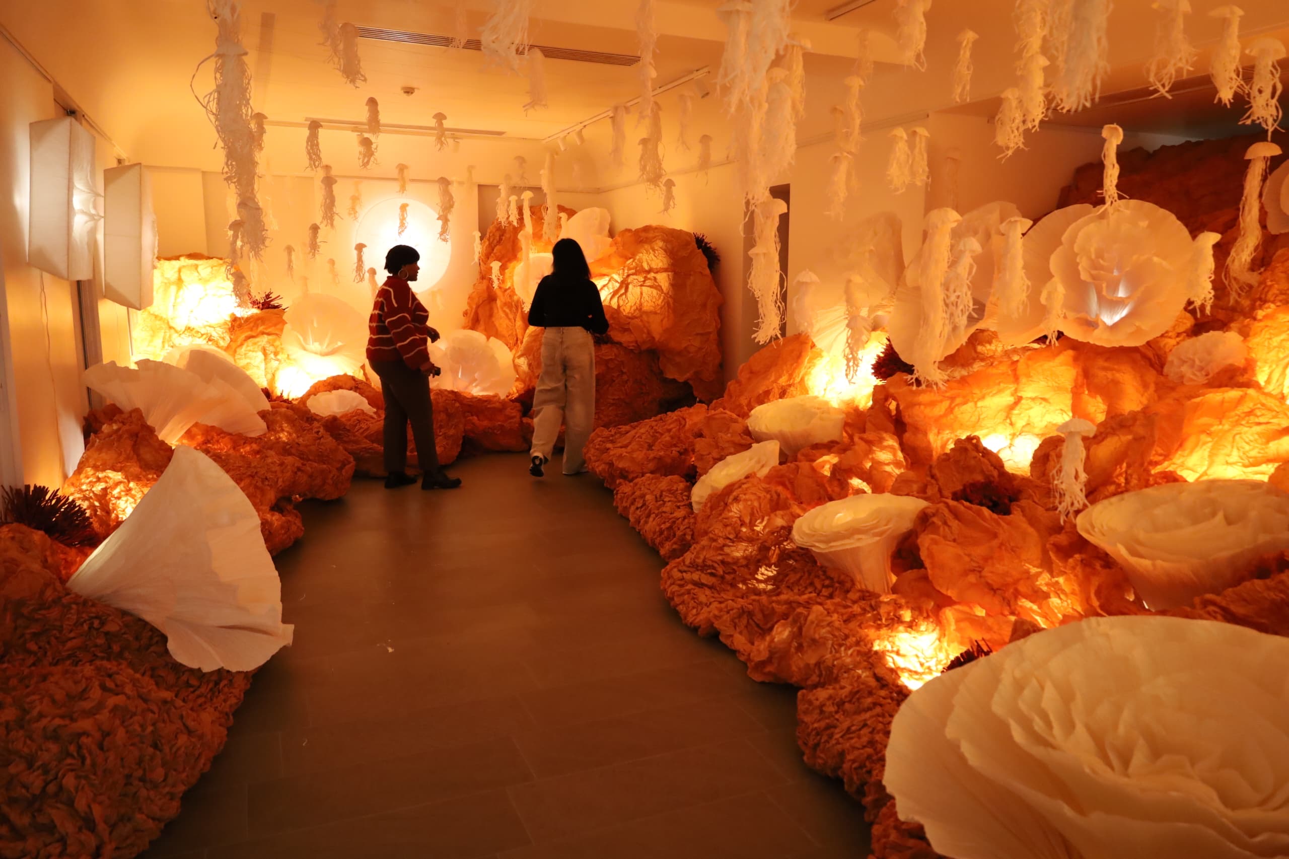 601cc65f-3eb2-4f28-93bc-9057f880618b