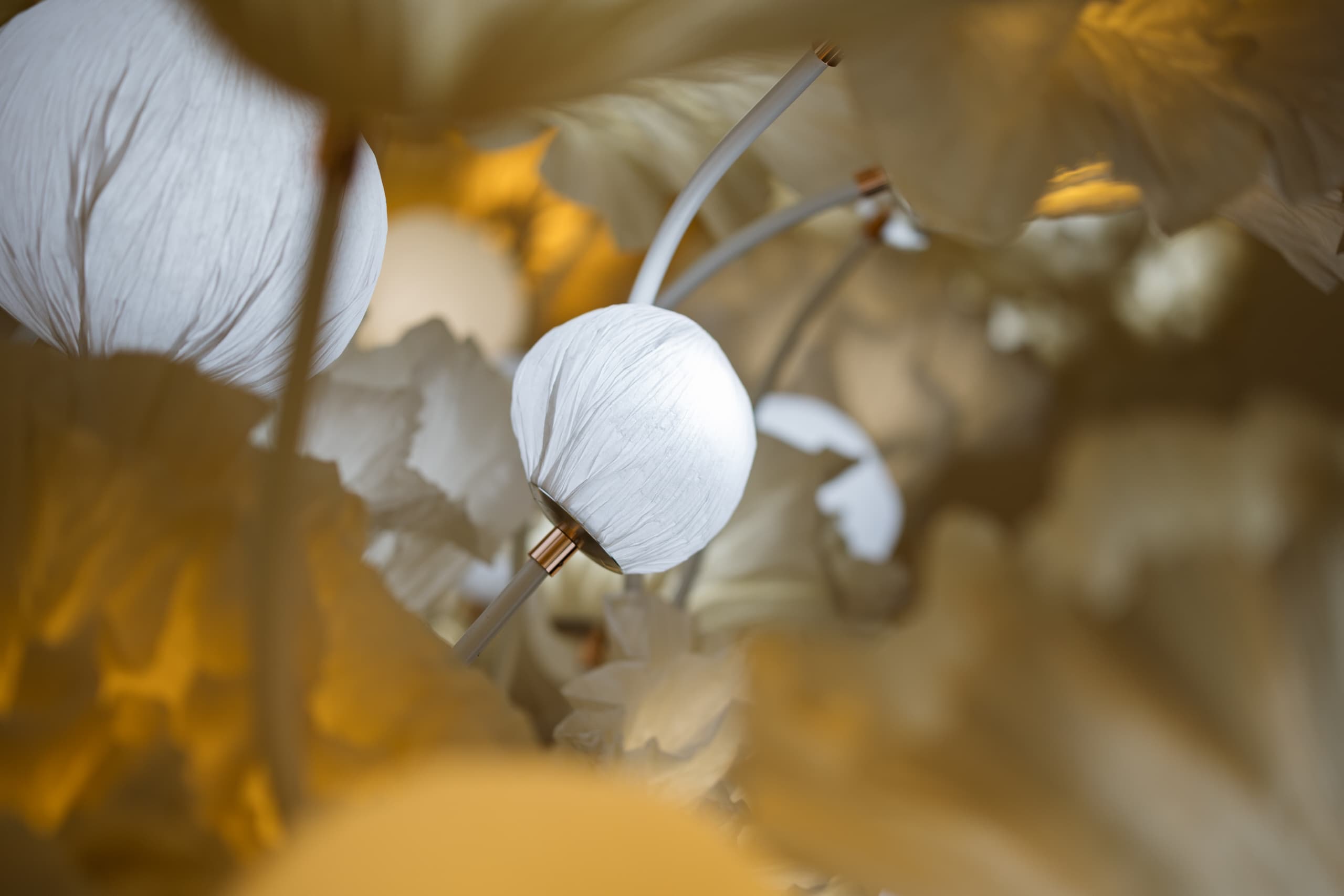 18815ded-2fad-43f6-a62d-8df375429bc9