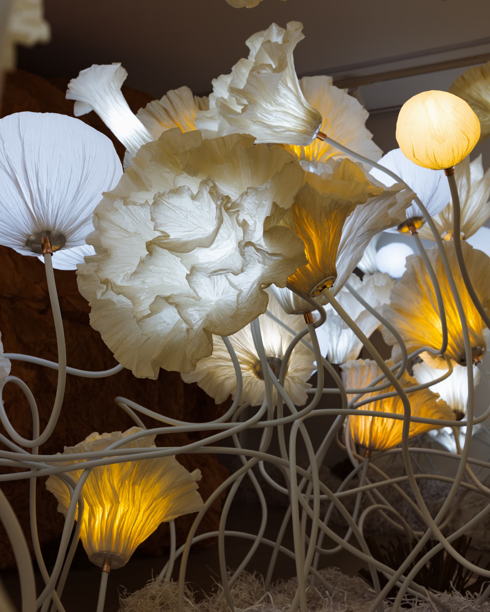 75592bb3-8905-47b6-aa28-a0538186b49a