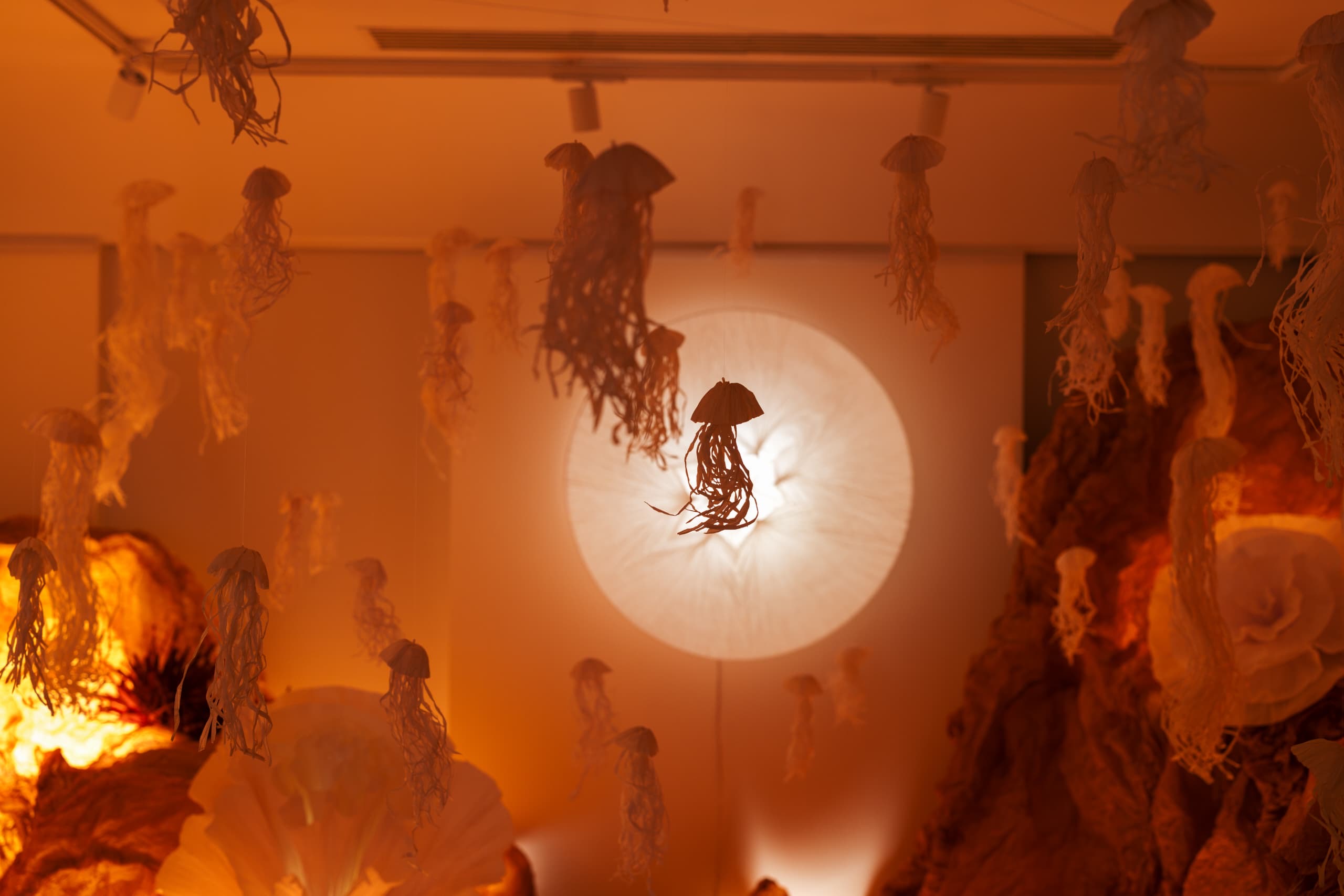 fb355fac-8123-4e34-90b4-e5bfa12b3a07