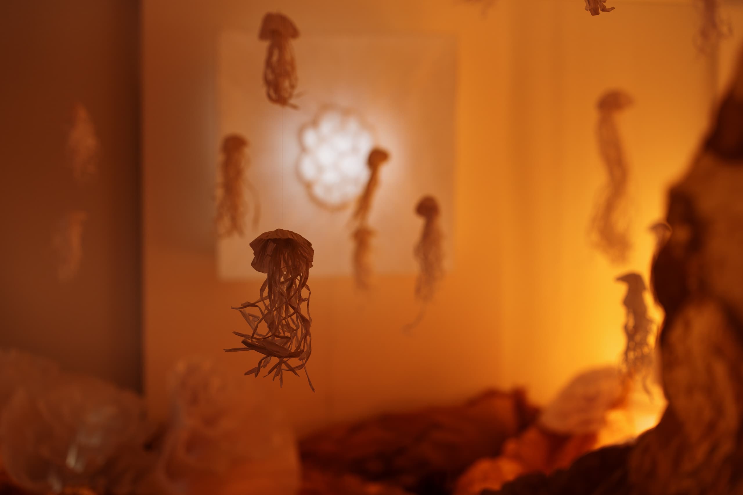 8d52d1e9-4255-481c-8cff-2d2eb5024c08