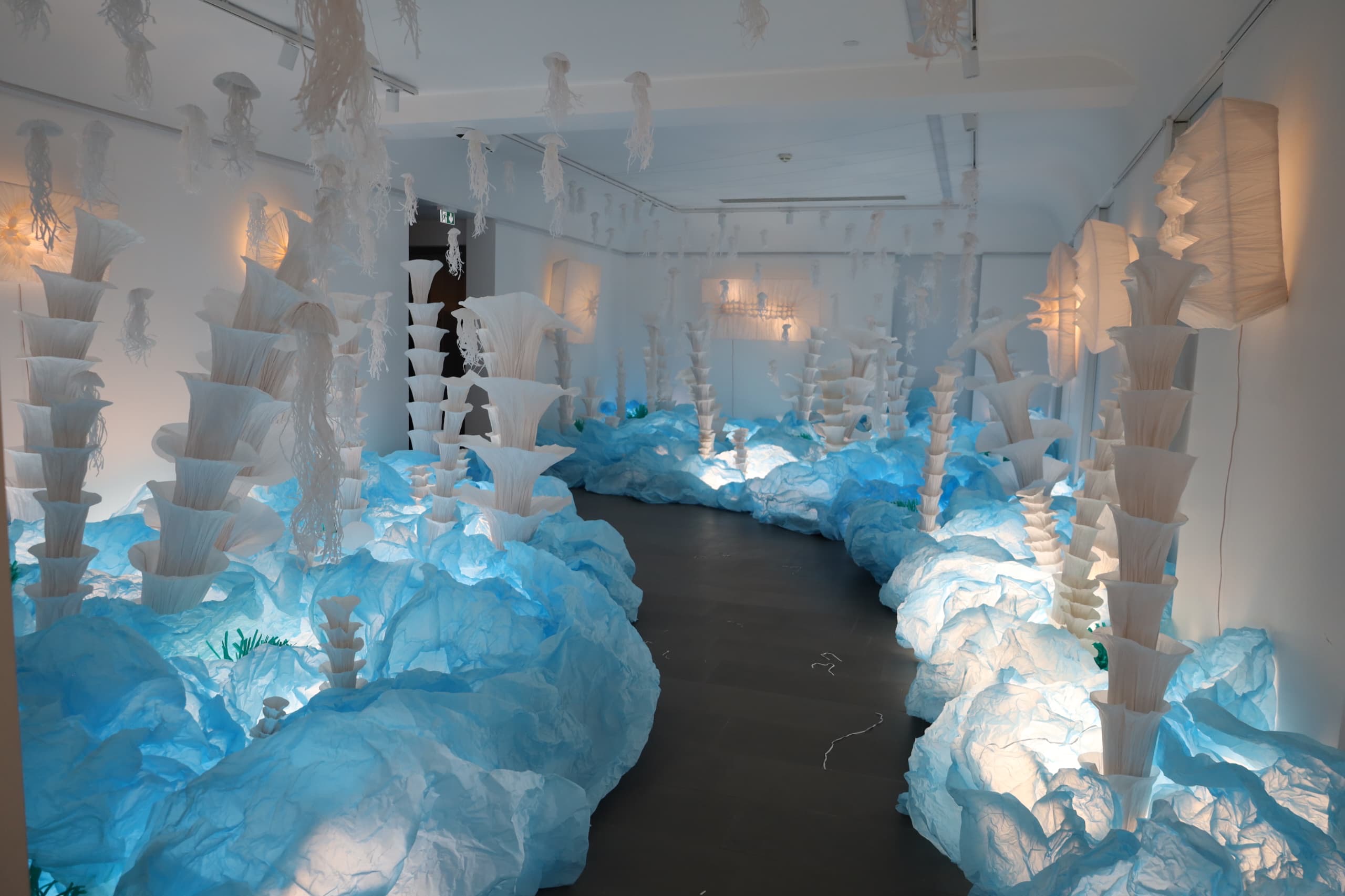 27daa6bc-f33f-440d-b030-3f6b4bdd02d7