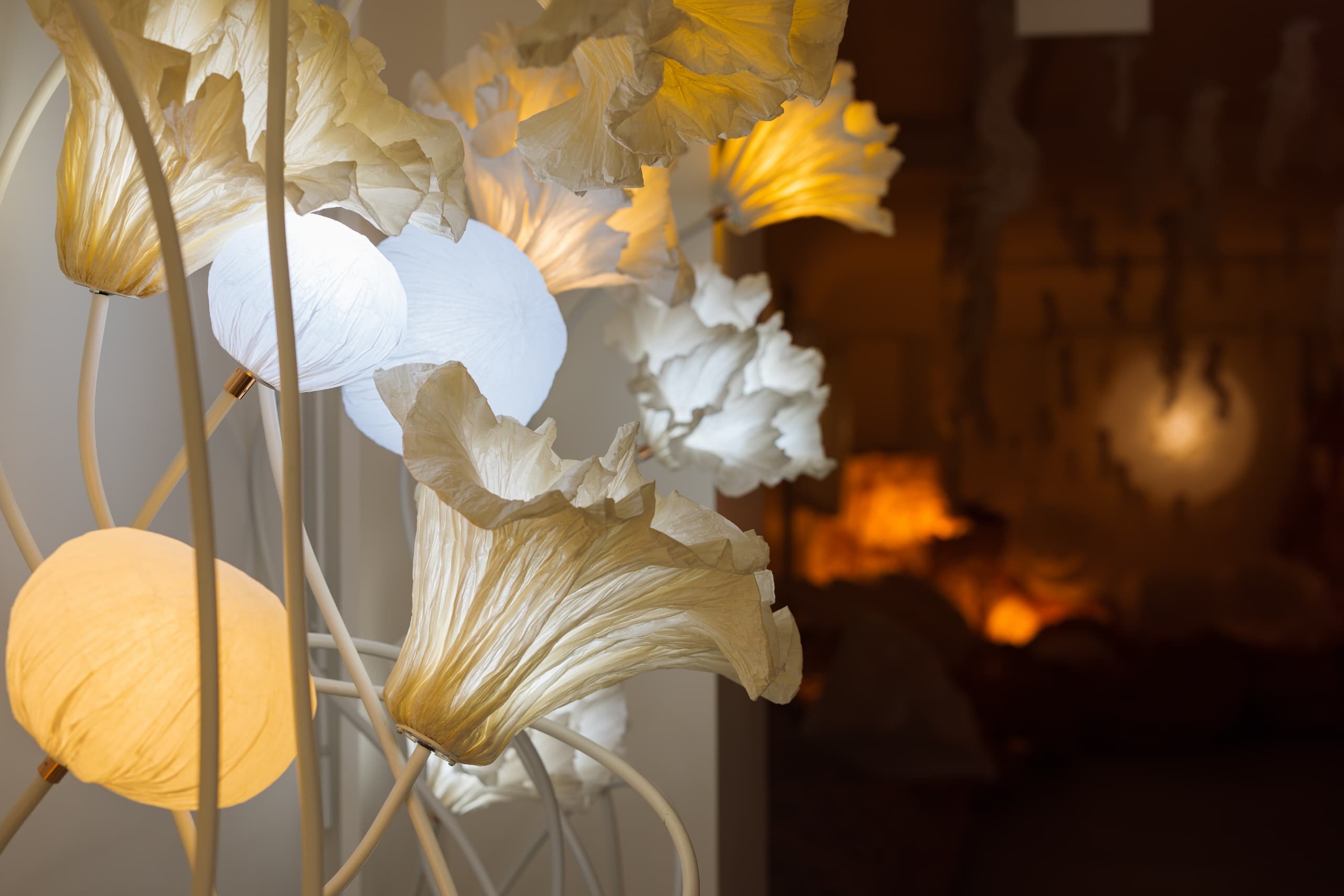 bf5b1ee1-0f23-428c-827e-b0cc8f1da767