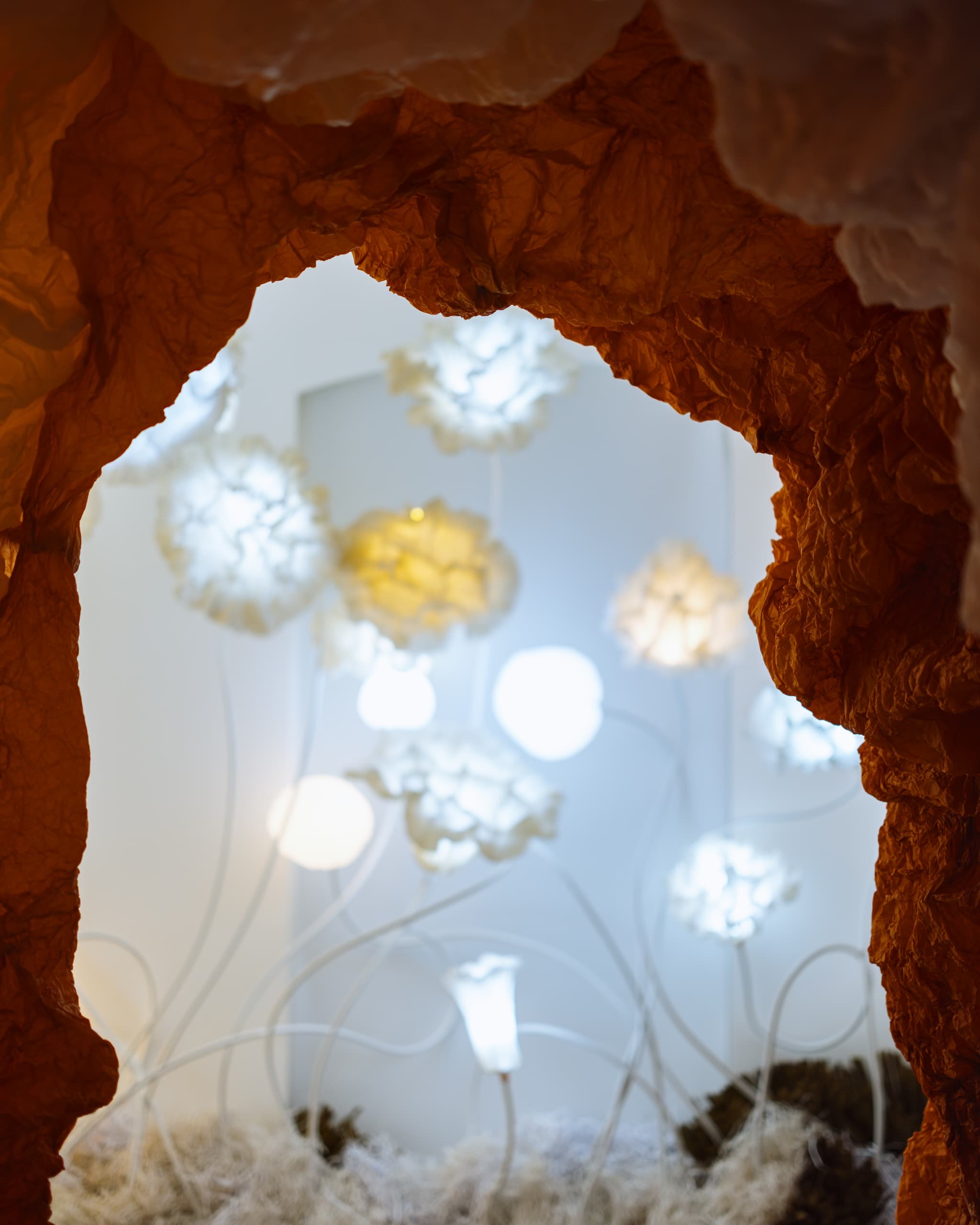 27b819da-0547-40a4-b2d5-073057688711