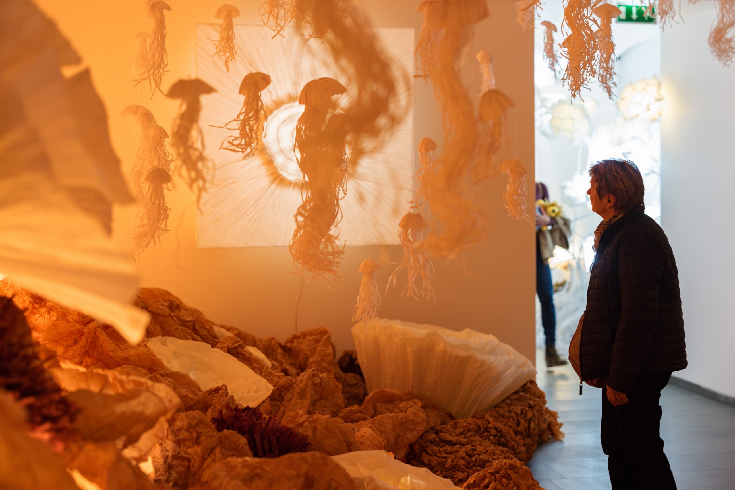 3ba0cc7e-7a6b-4c17-8228-0eec6fd2eccb