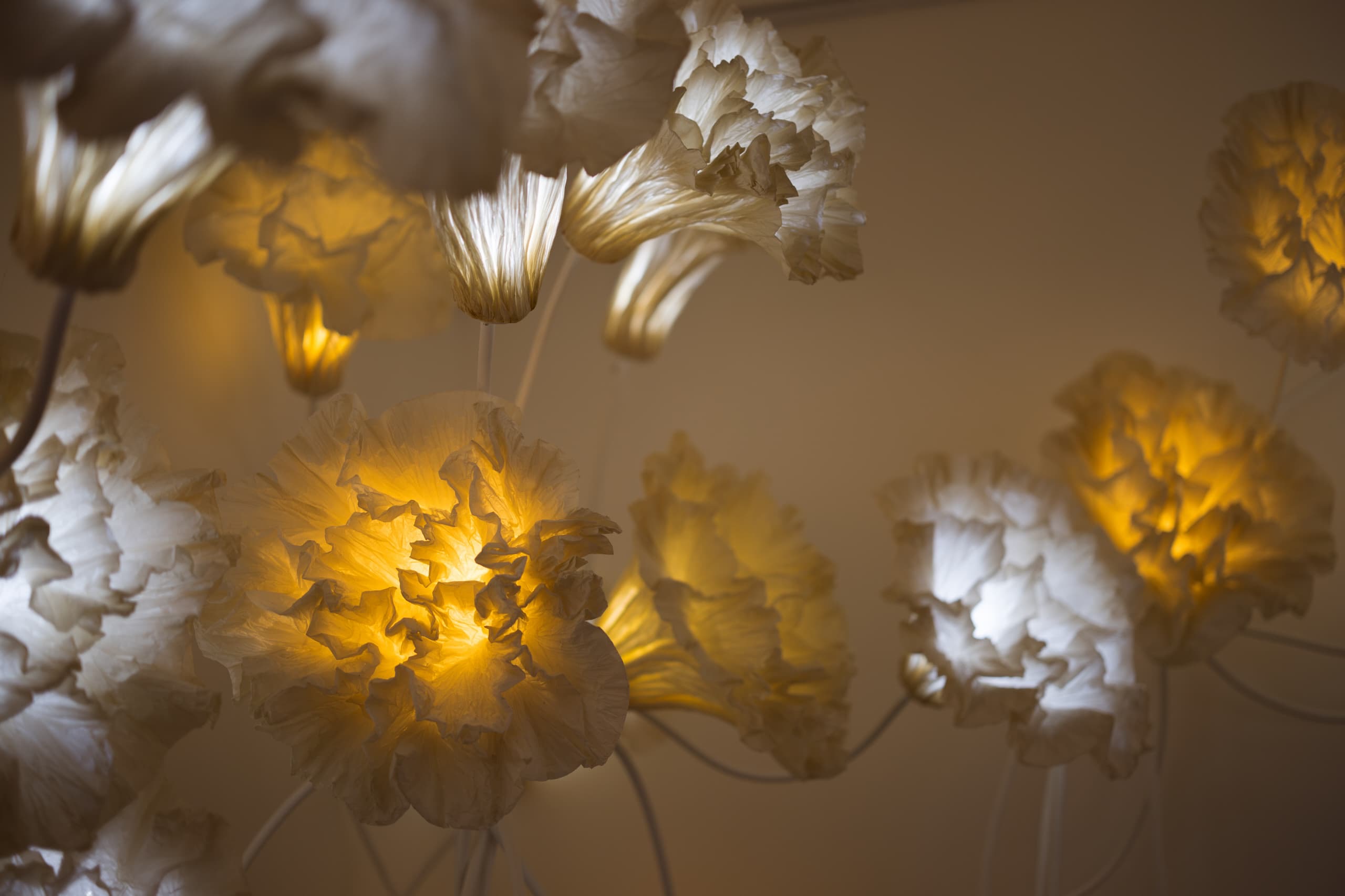 bda59e3b-82cc-4fa7-955d-cd64c489879c