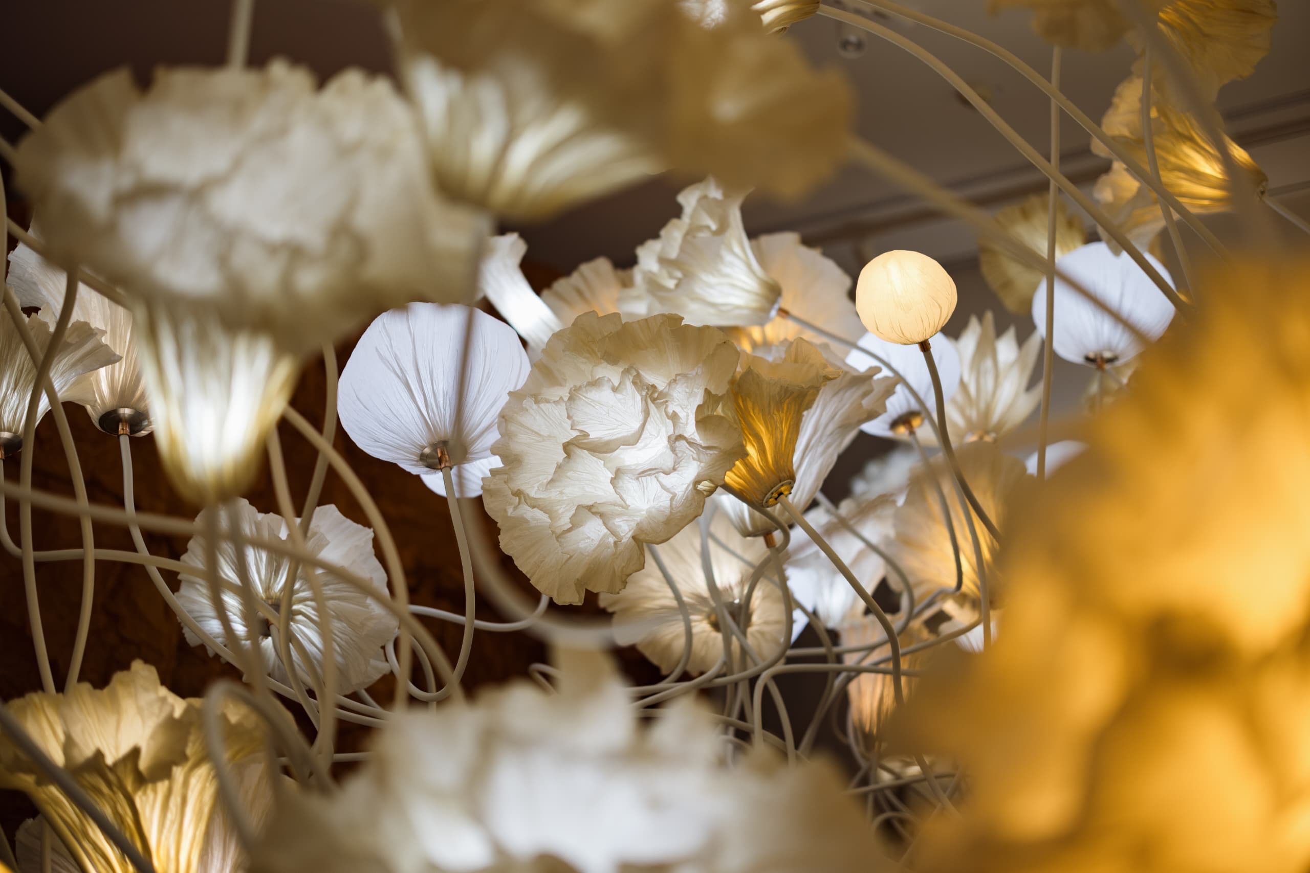 7e6a6626-e976-40cb-9659-9865673492d2