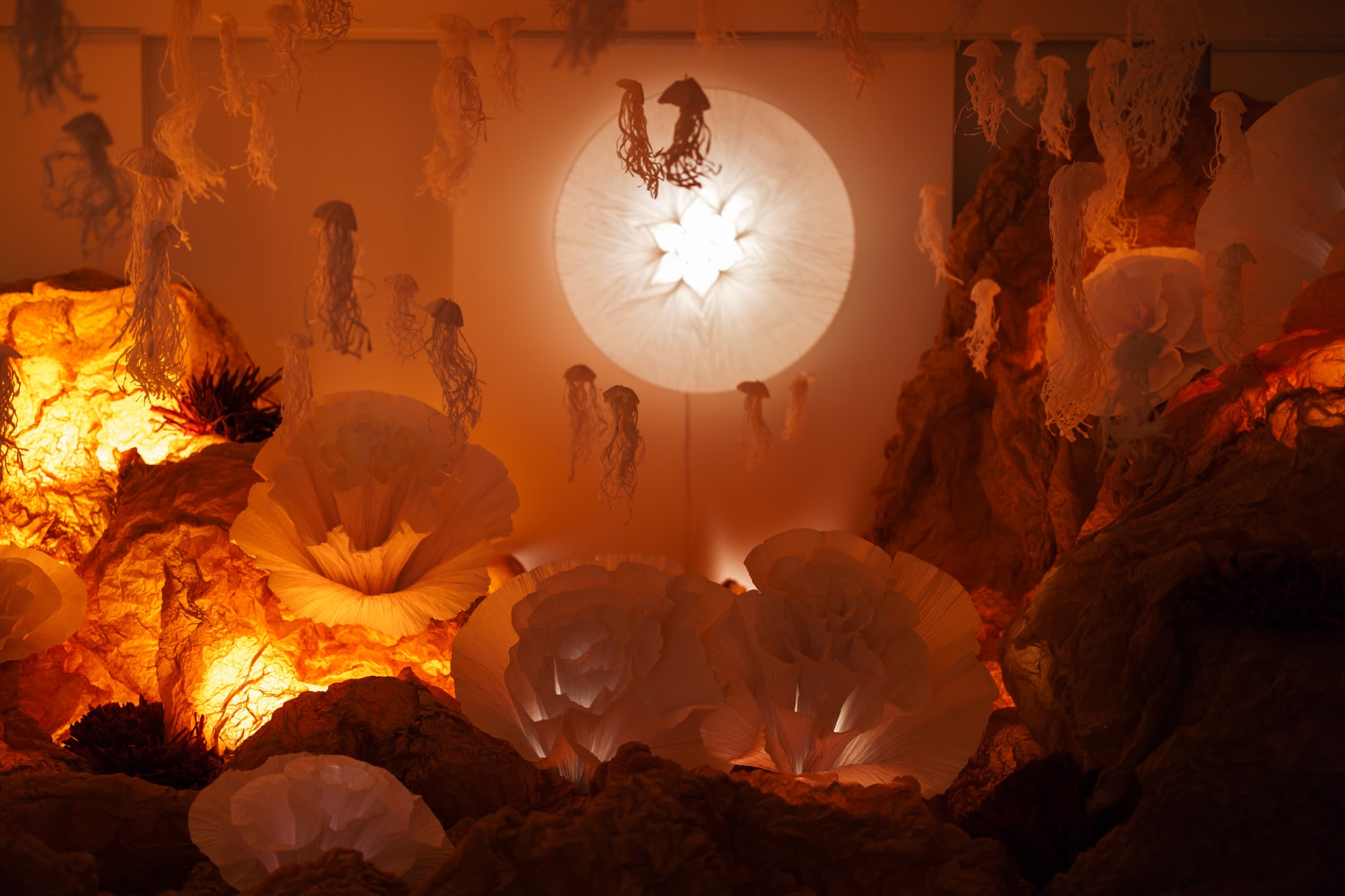 52e538d5-1617-4478-b6e7-986d4012767b