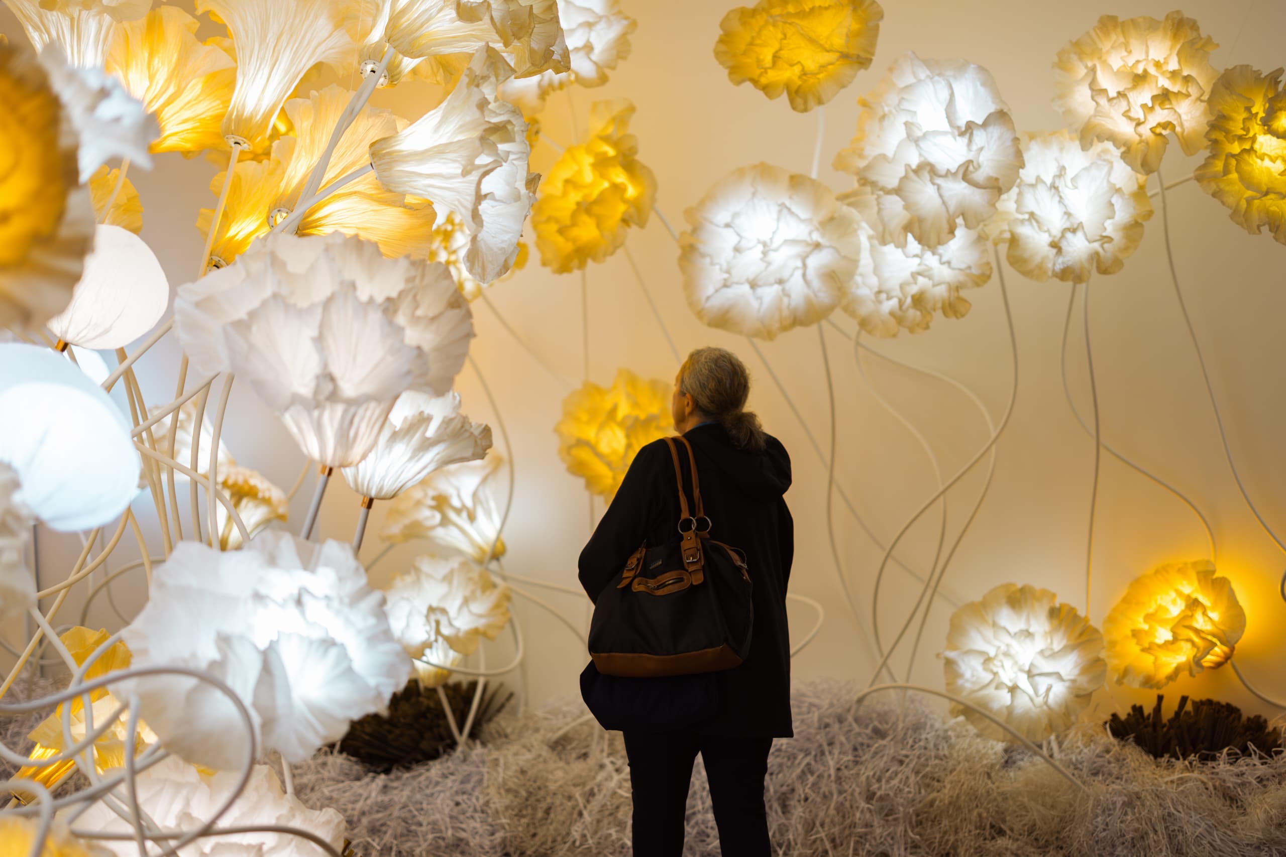 8b9ca6d0-4bcf-4328-8c86-27aaec331dbe