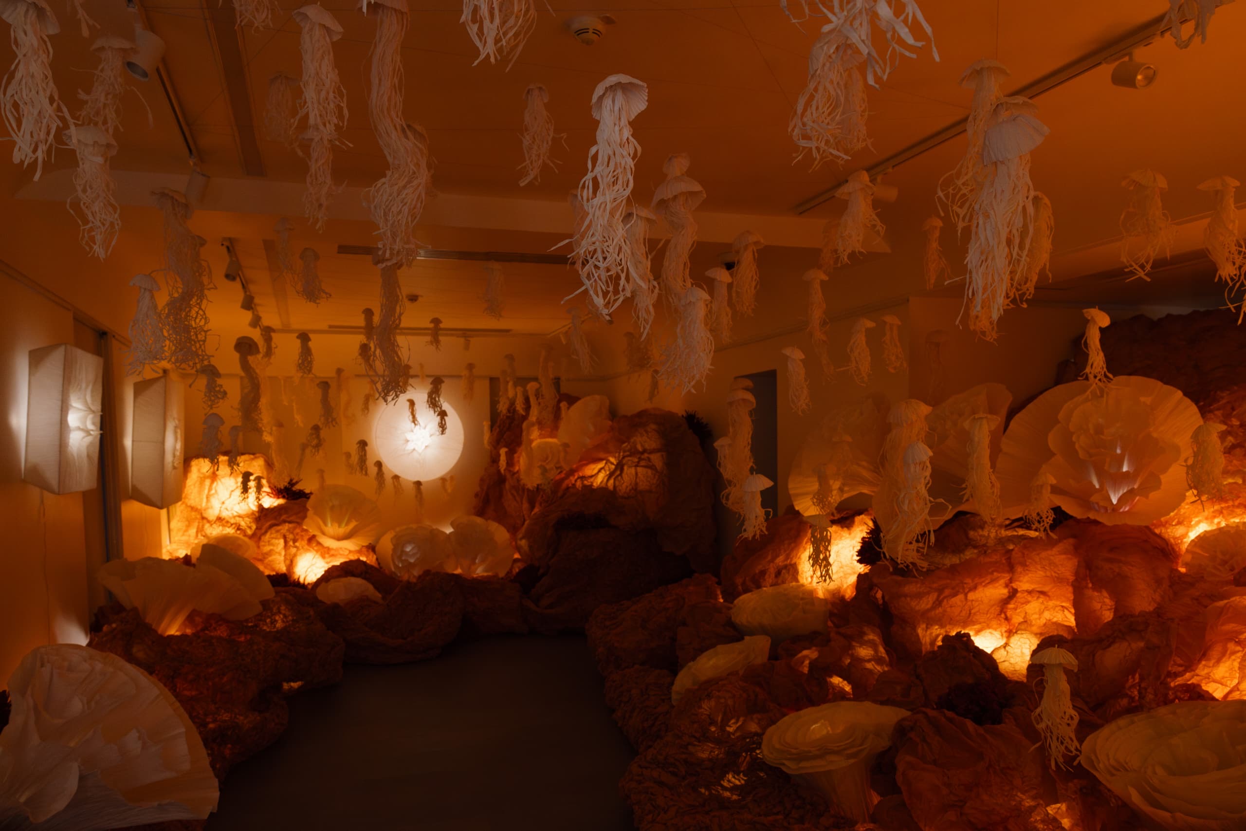 c97d62b4-a960-4183-b07a-ac4dbf75a61c