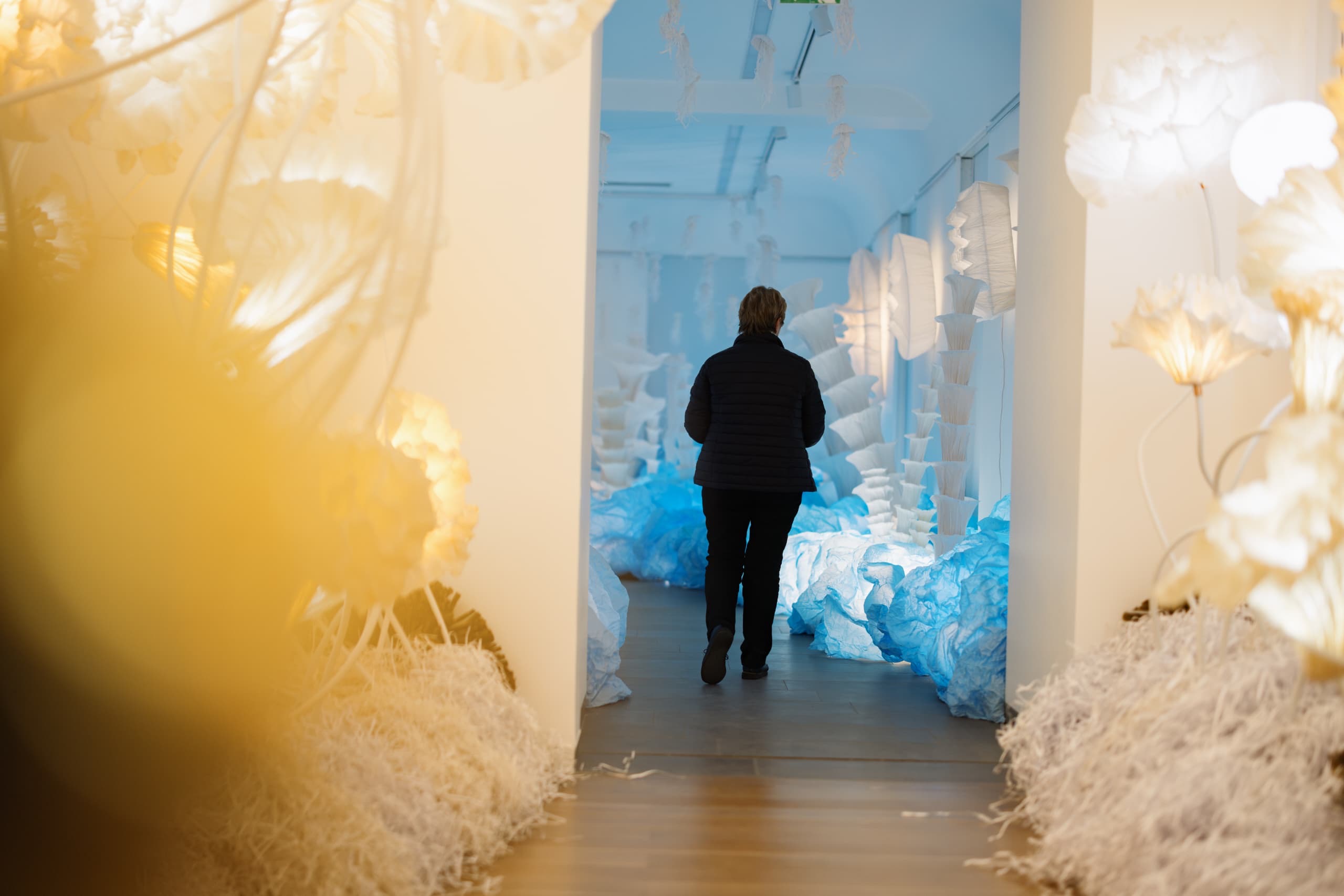 87bffd76-6b22-49e6-bfc8-da83f08a13e4