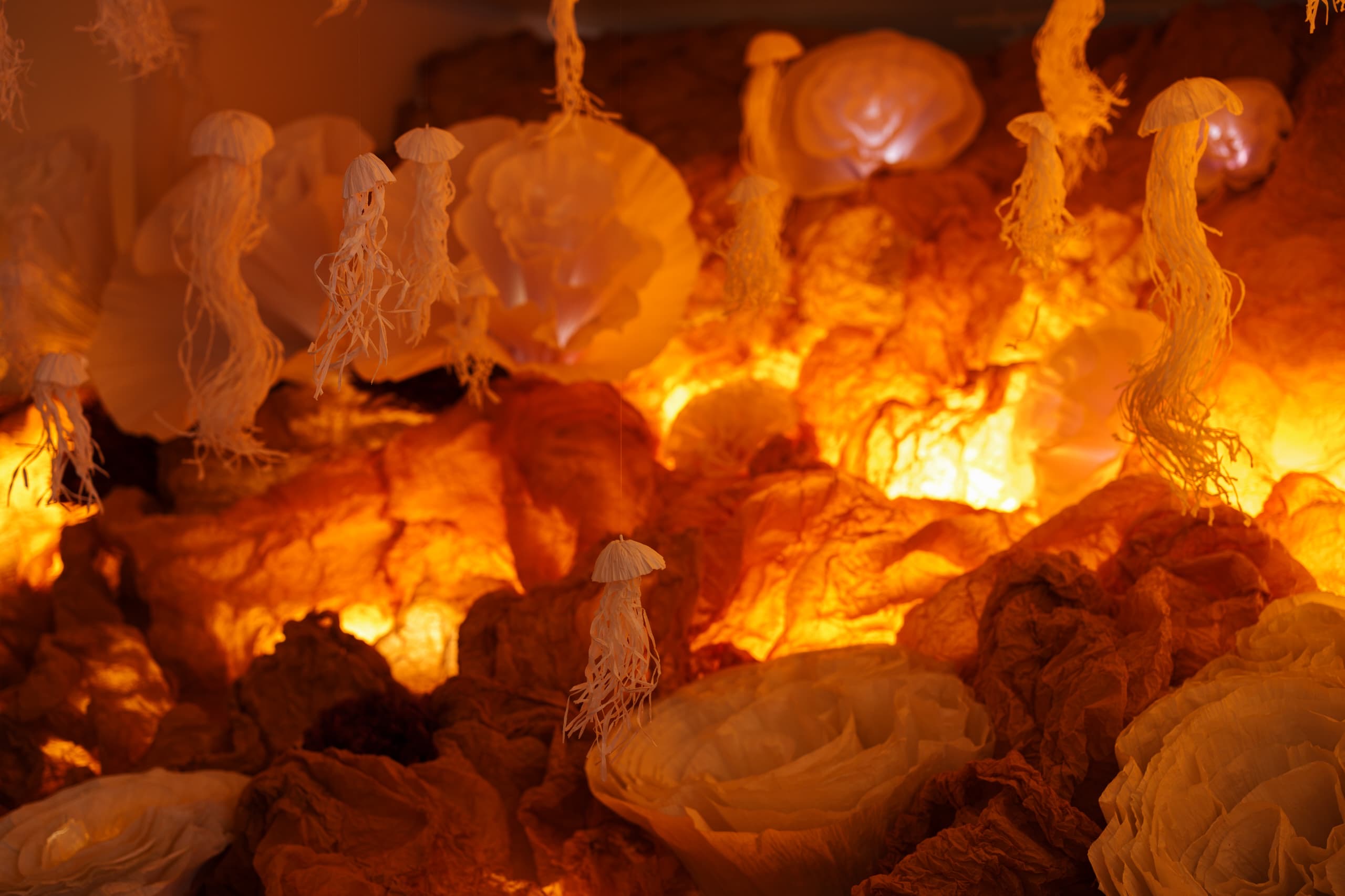 a032af89-f82a-491c-b99d-21f3781f3131