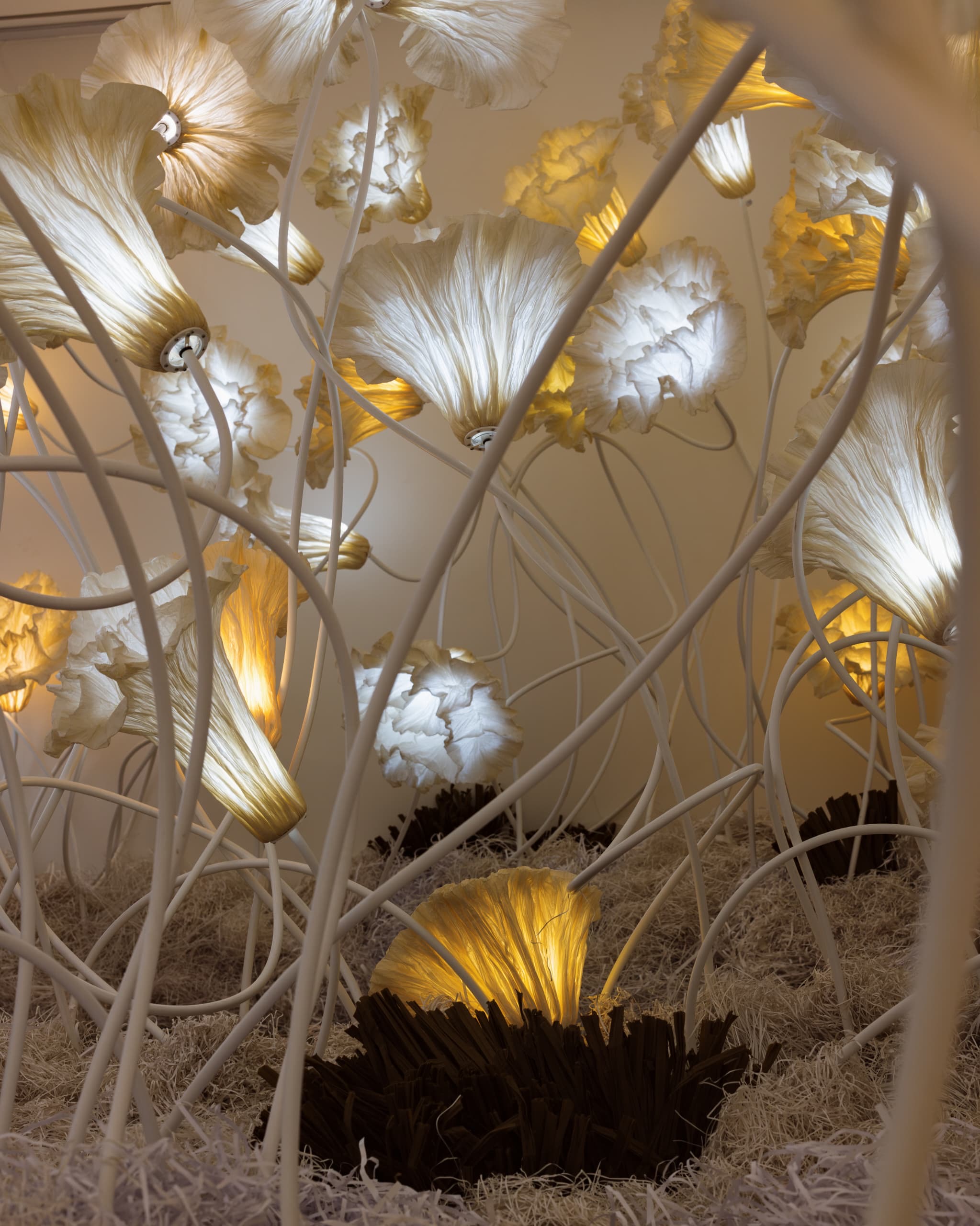 077b8517-63d3-434c-92d8-b8483775bd84