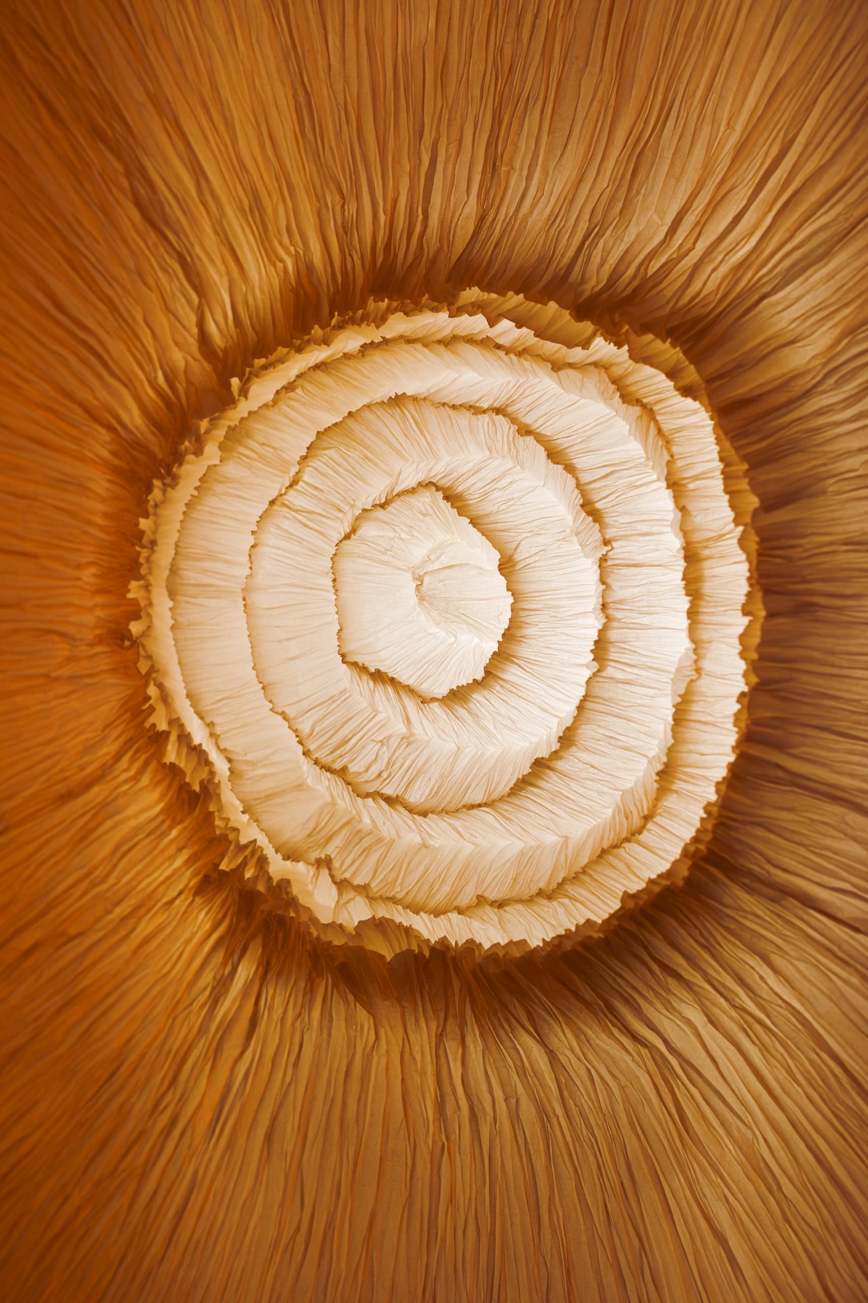 f2e05420-5df2-4cc6-a6de-f936d39f7dff