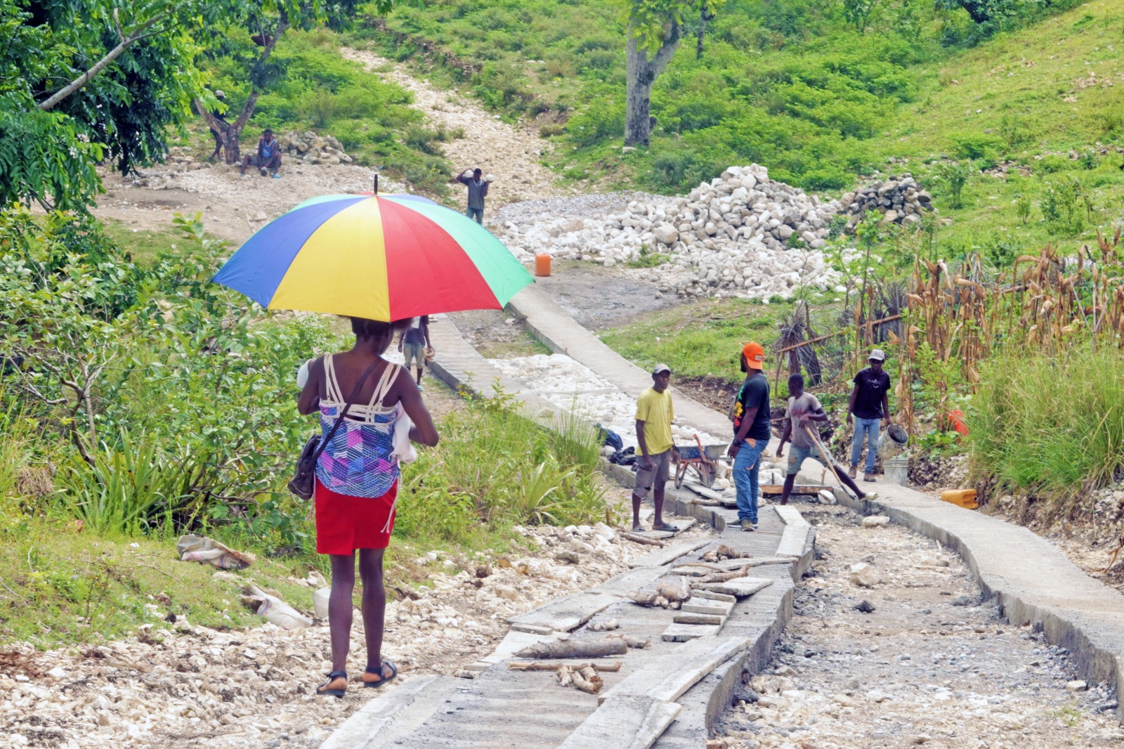 Grand’Anse : Le projet PARAGA, un levier vers l’autonomie paysanne