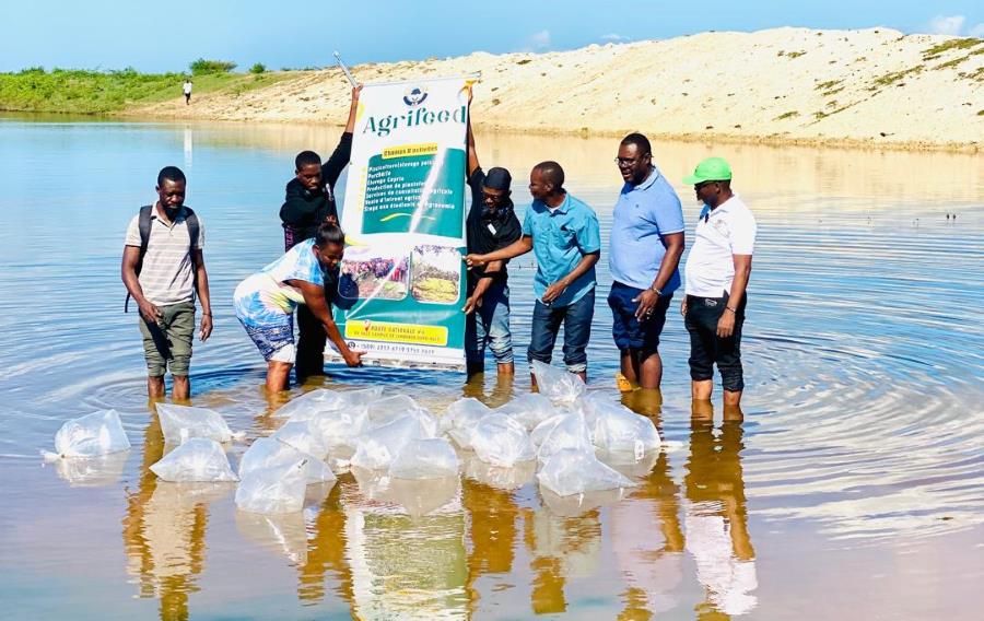 Nord-Est : le MARNDR lance son programme d’ensemencement en alevins des lacs collinaires pour renforcer la sécurité alimentaire