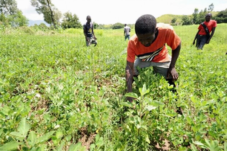 Kesner Pharel exhorte des jeunes investisseurs agricoles à opter pour une agriculture moderne