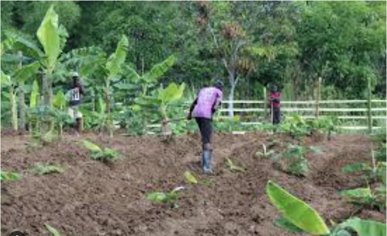 La compétitivité ne se repose ni sur la compression des salaires ni sur l'affaiblissement de la monnaie