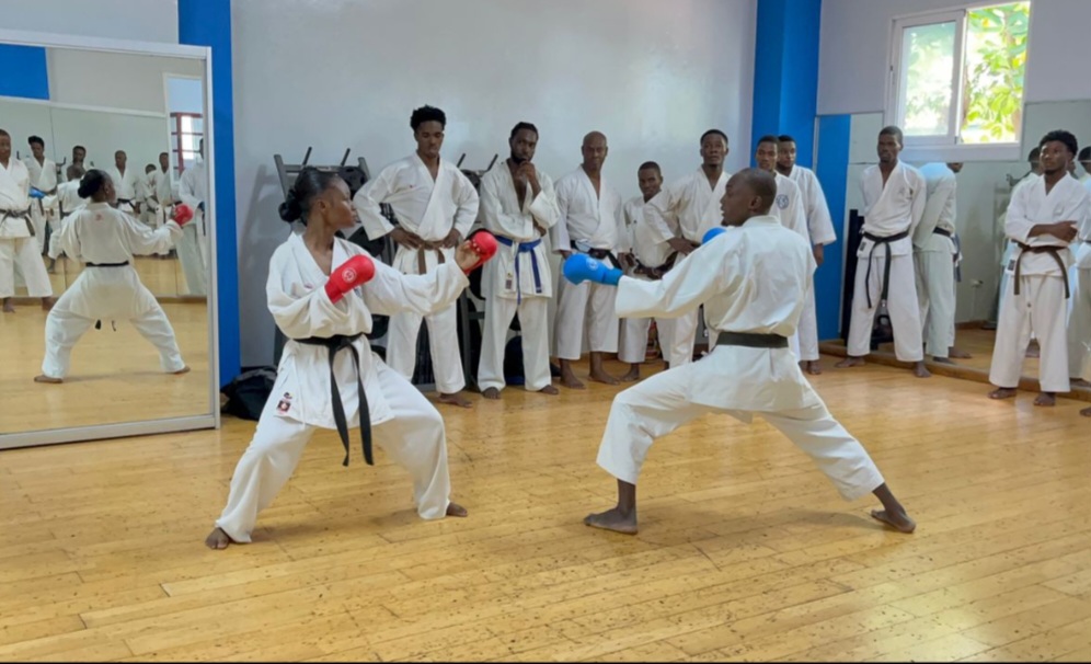 Karaté : Un séminaire stratégique pour renforcer les bases techniques