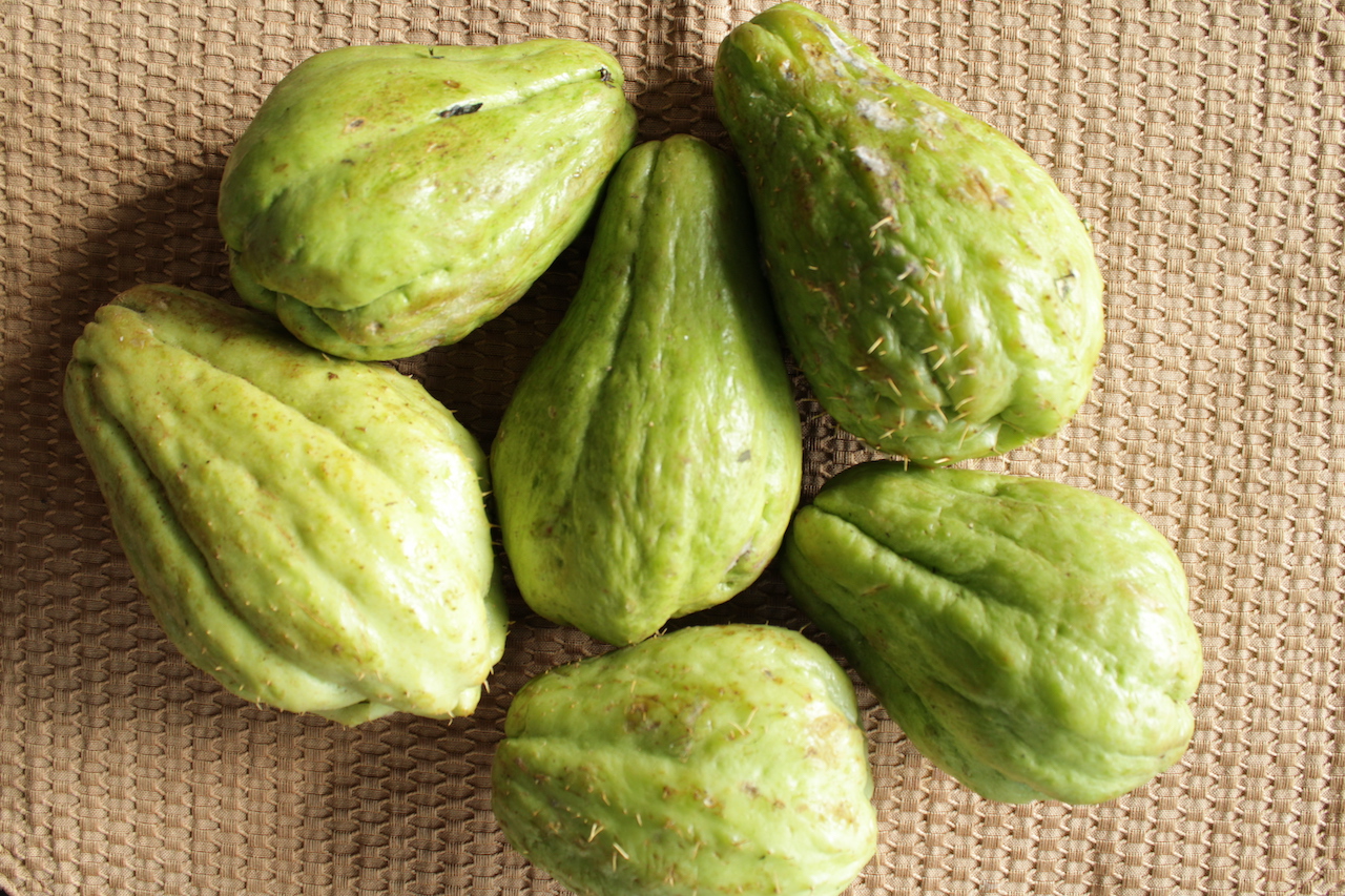 Chayotte : légume discret, tentation poétique