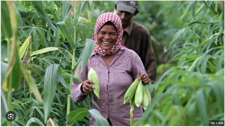 Un usage plus rationnel de l’eau en agriculture pourrait aider à nourrir une population de 10 milliards d’habitants et à créer près de 250 millions d’emplois