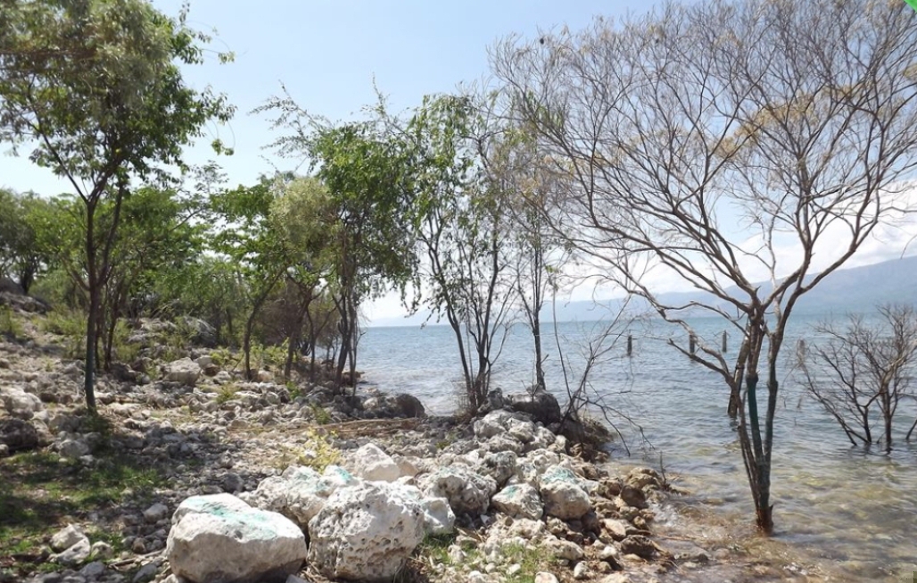 Le parc naturel Quisqueya menacé