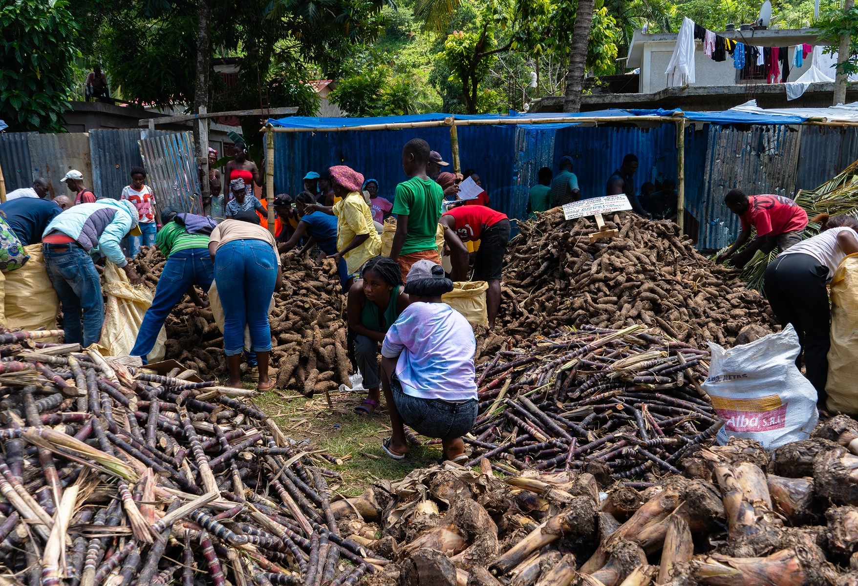 Limbé : foire agricole pour renforcer la productivité