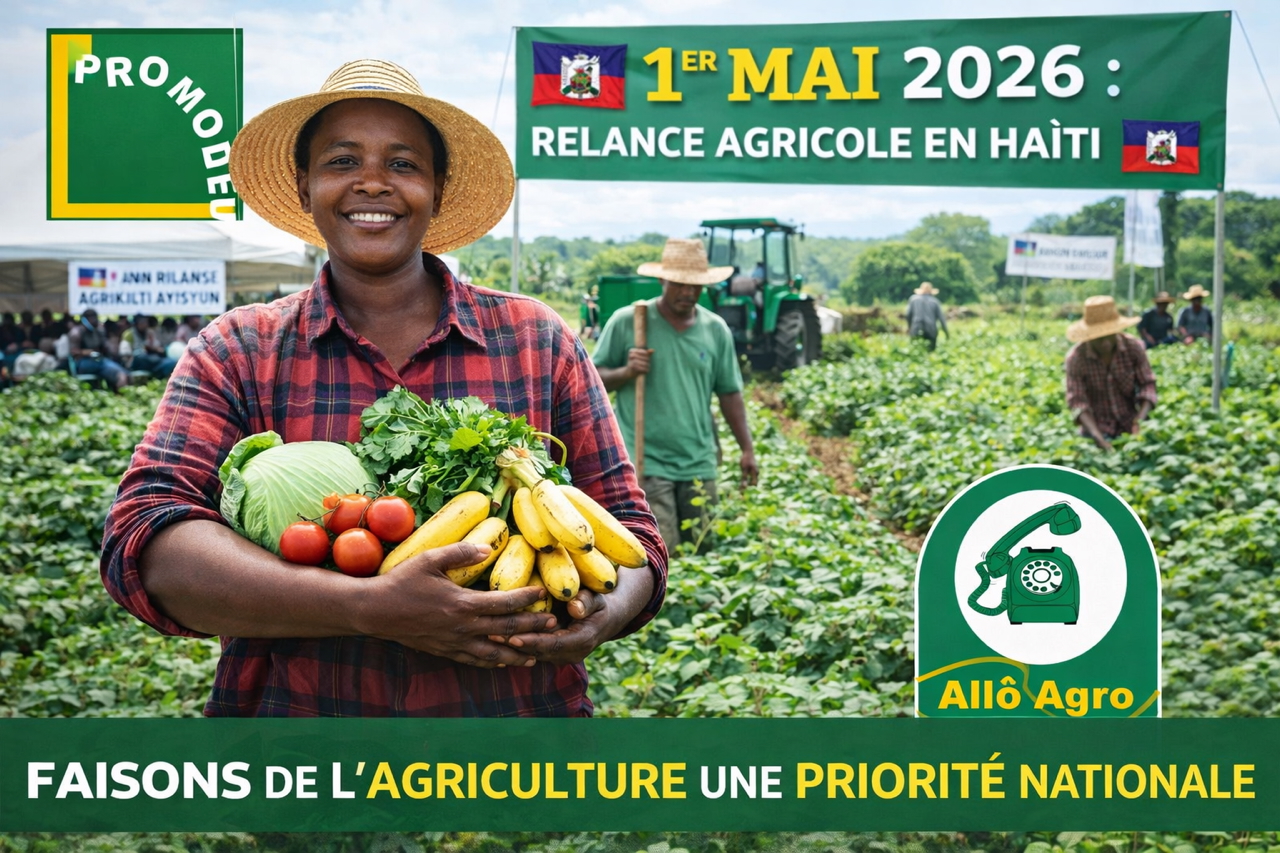 1er mai en Haïti : et si l’agriculture devenait enfin une priorité nationale ?