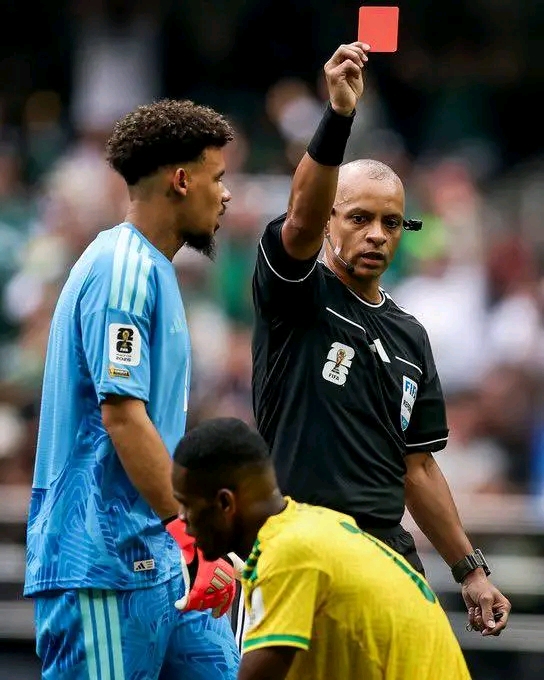 Deuxième carton rouge pour l'Afrique du Sud