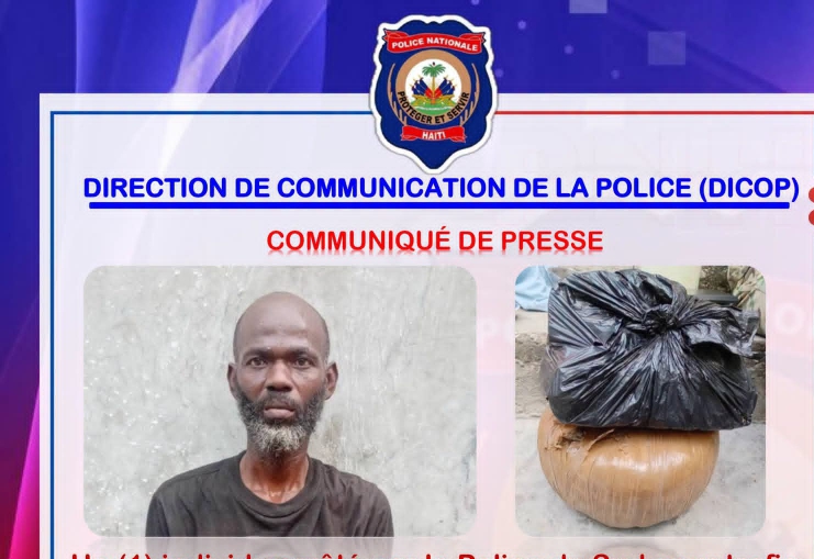 Les Cayes : un présumé trafiquant de marijuana arrêté avec plus de 3,7 kg de drogue