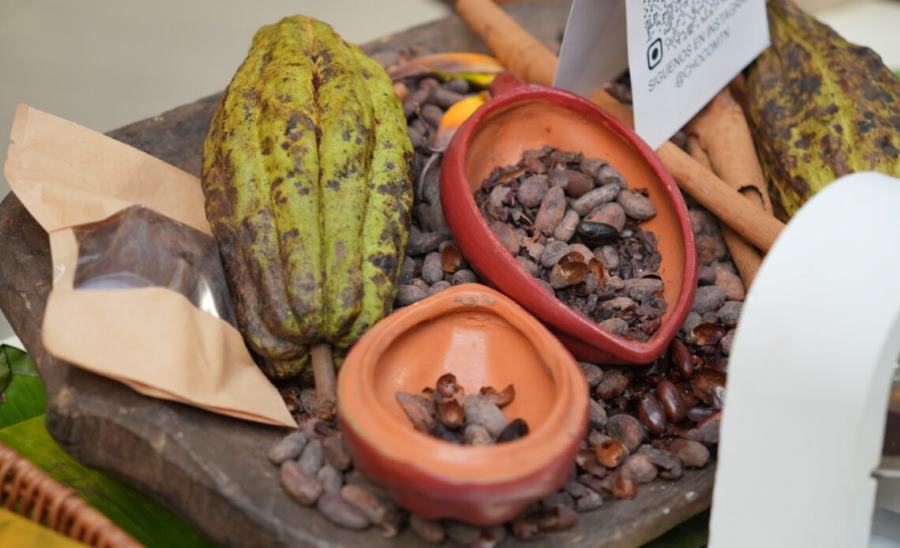 Les exportations de cacao de la République dominicaine ont connu un record de 669 millions de dollars américains en 2025