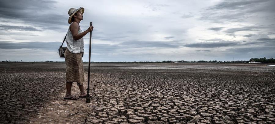 « Lutter pour l’humanité » : le seuil de 1,5 °C sera franchi, mais pour combien de temps ?