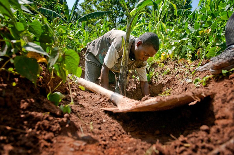 Un rapport de la FAO prévient contre l’aggravation accélérée des sols, alors que l’adoption de solutions éprouvées tarde à se généraliser