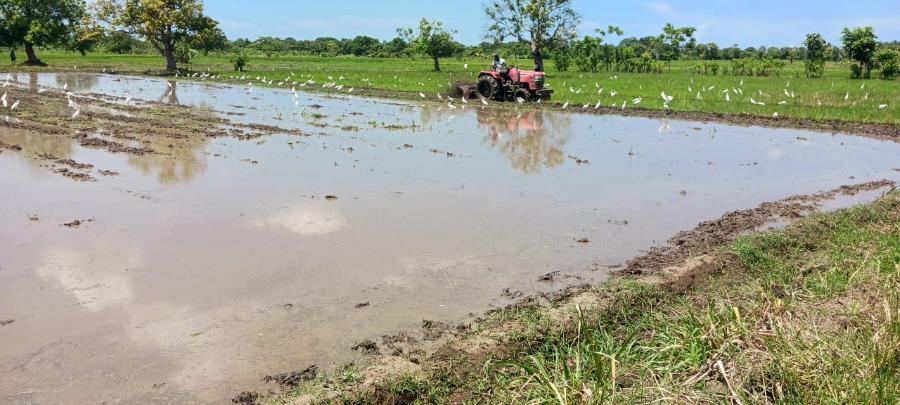 Agriculture au Nord-Est : un service de labourage mis en place