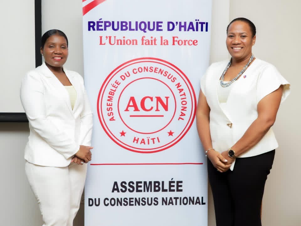 Le manifeste de l'assemblée du consensus national propose un exécutif bicéphale avec un Président et un nouveau Premier ministre