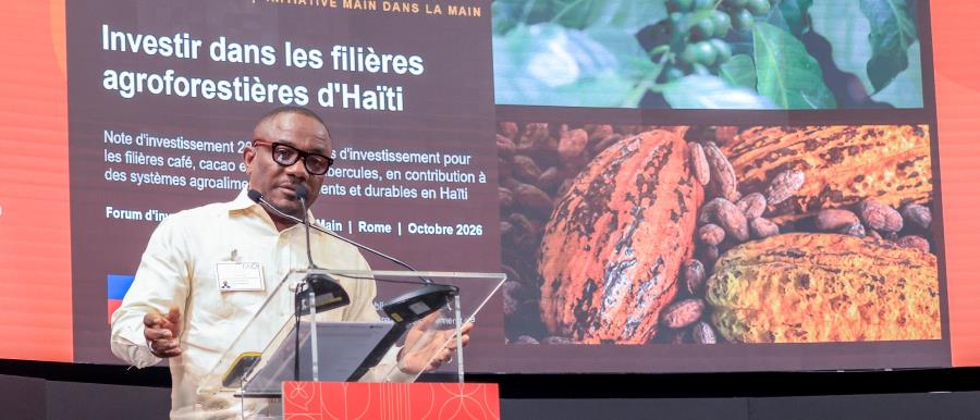 Haïti et la FAO appellent les partenaires au développement et les investisseurs à soutenir les chaînes de valeur agroforestières
