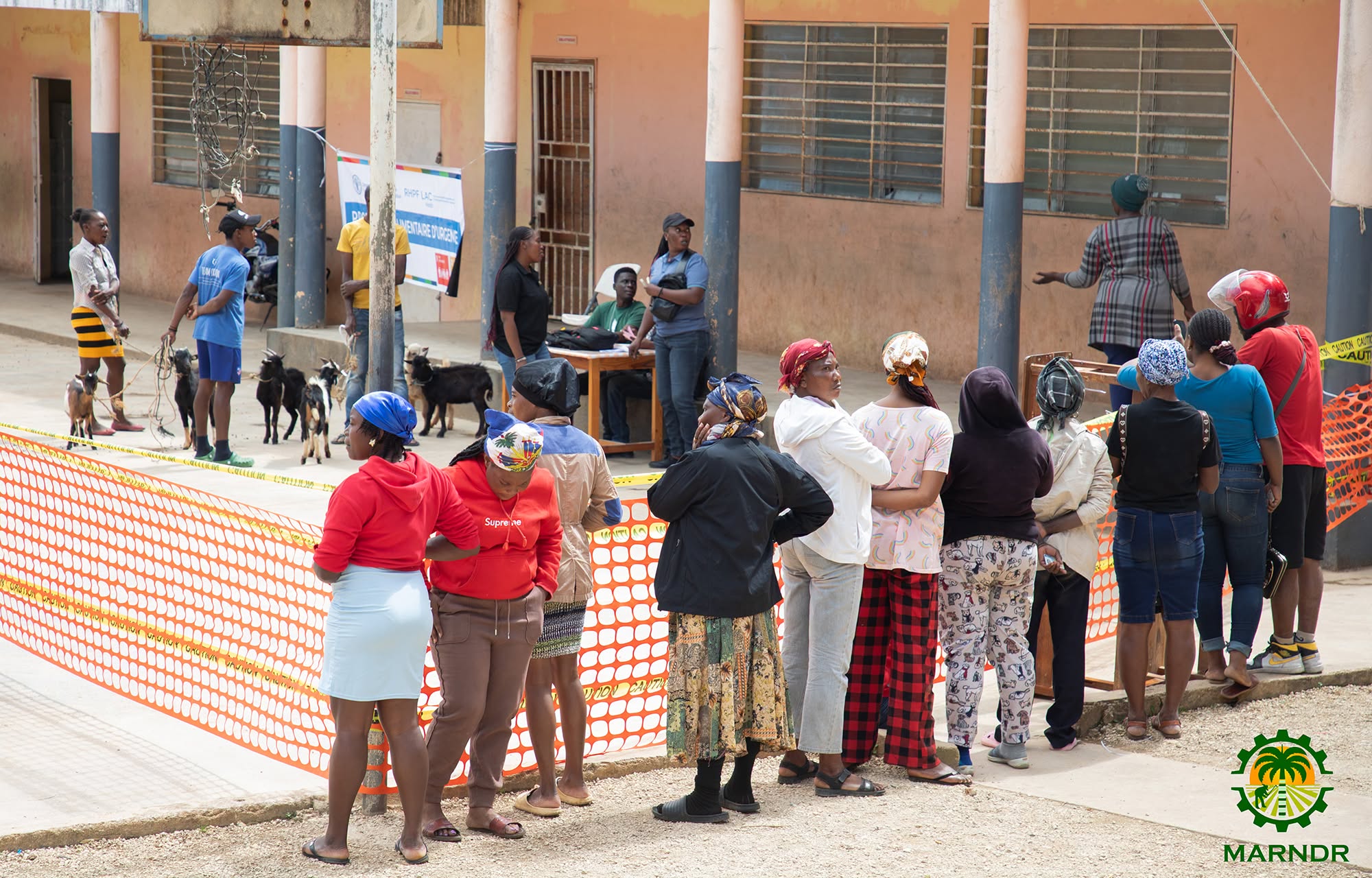 Kenscoff : 264 chèvres distribuées par le MARNDR